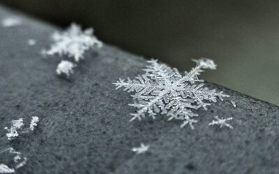 An E-Auction Might Work… But Not Here: Three Categories That Proved Otherwise