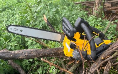 E-auctions Are A Chainsaw